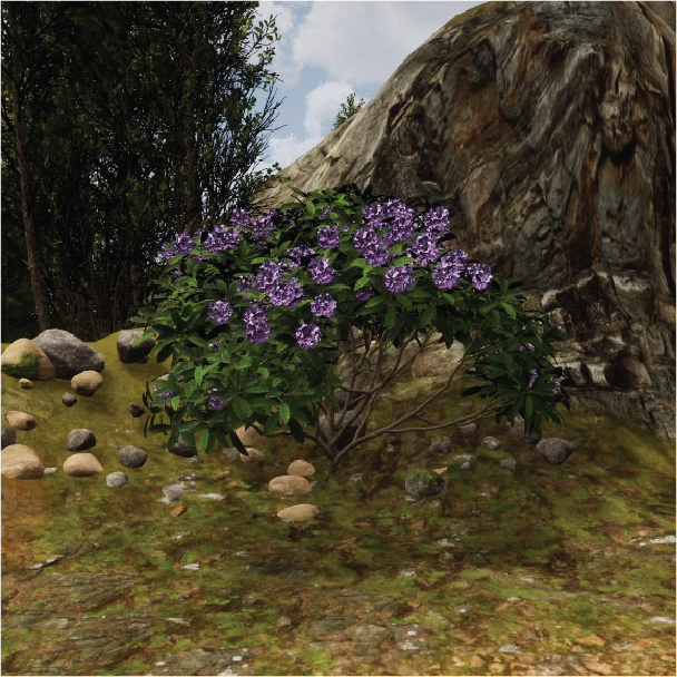 rhododendron