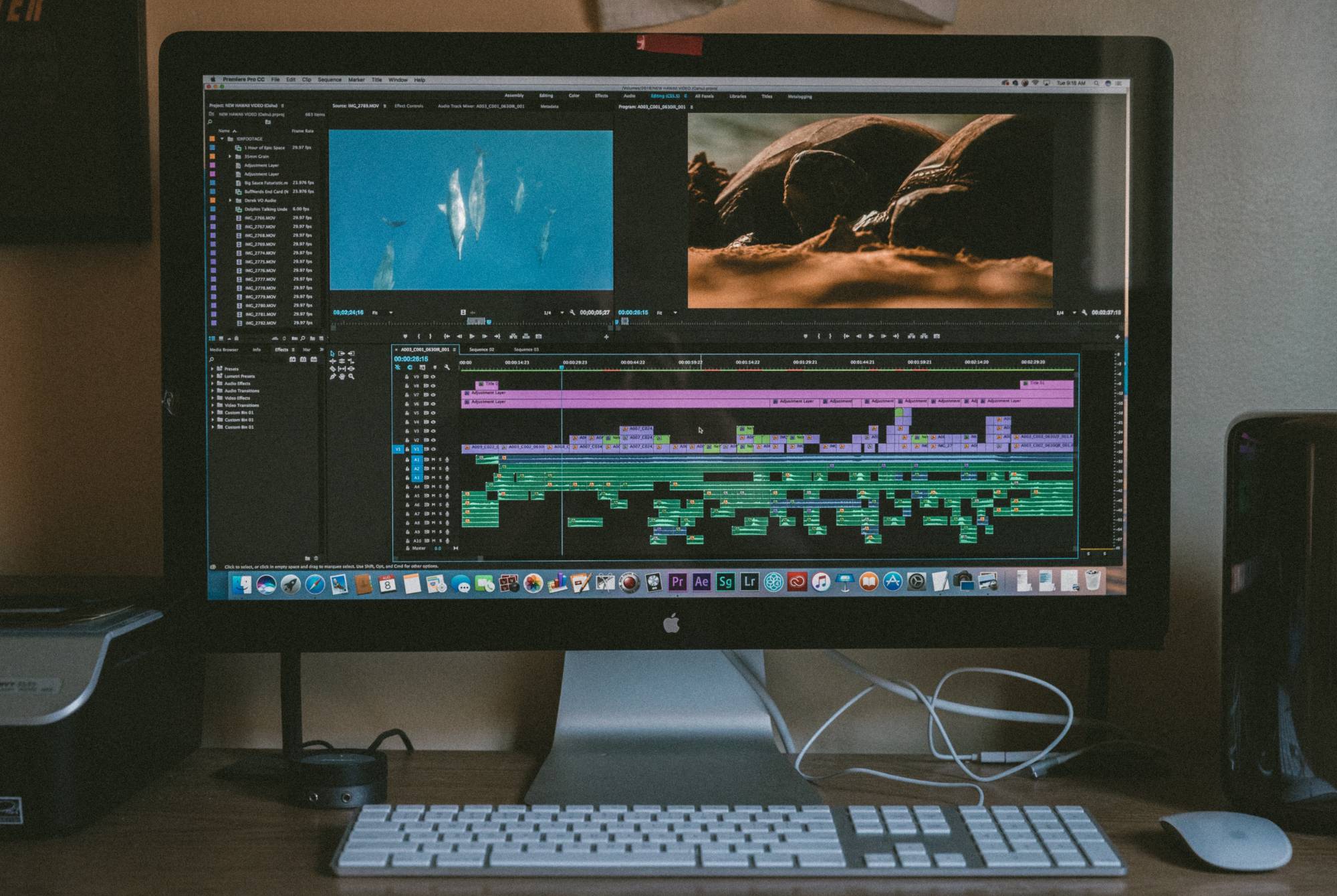 An intro to Adobe Pro: 5 tools for | Libraries
