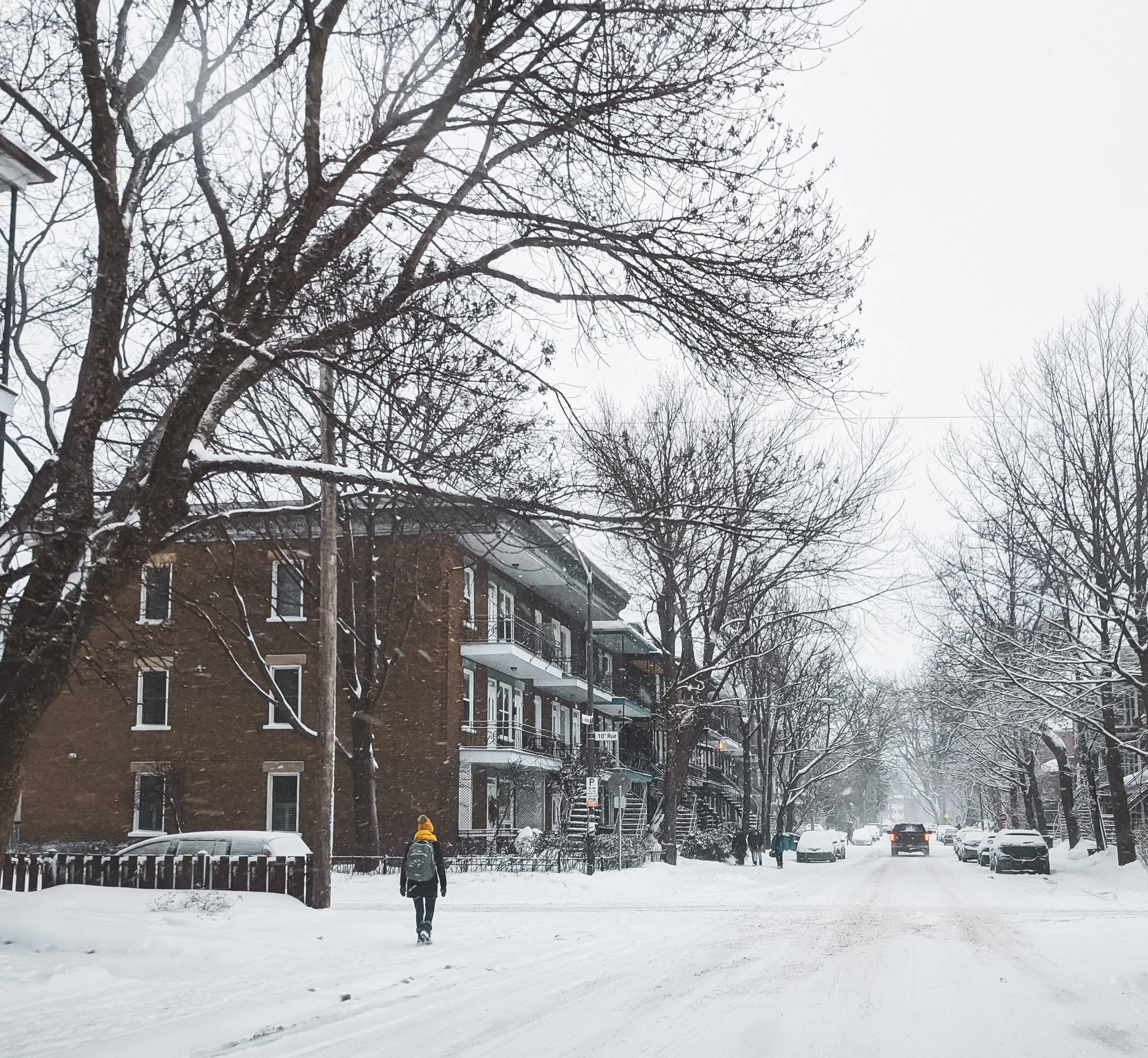 A snowy city street with brown brick houses and trees.