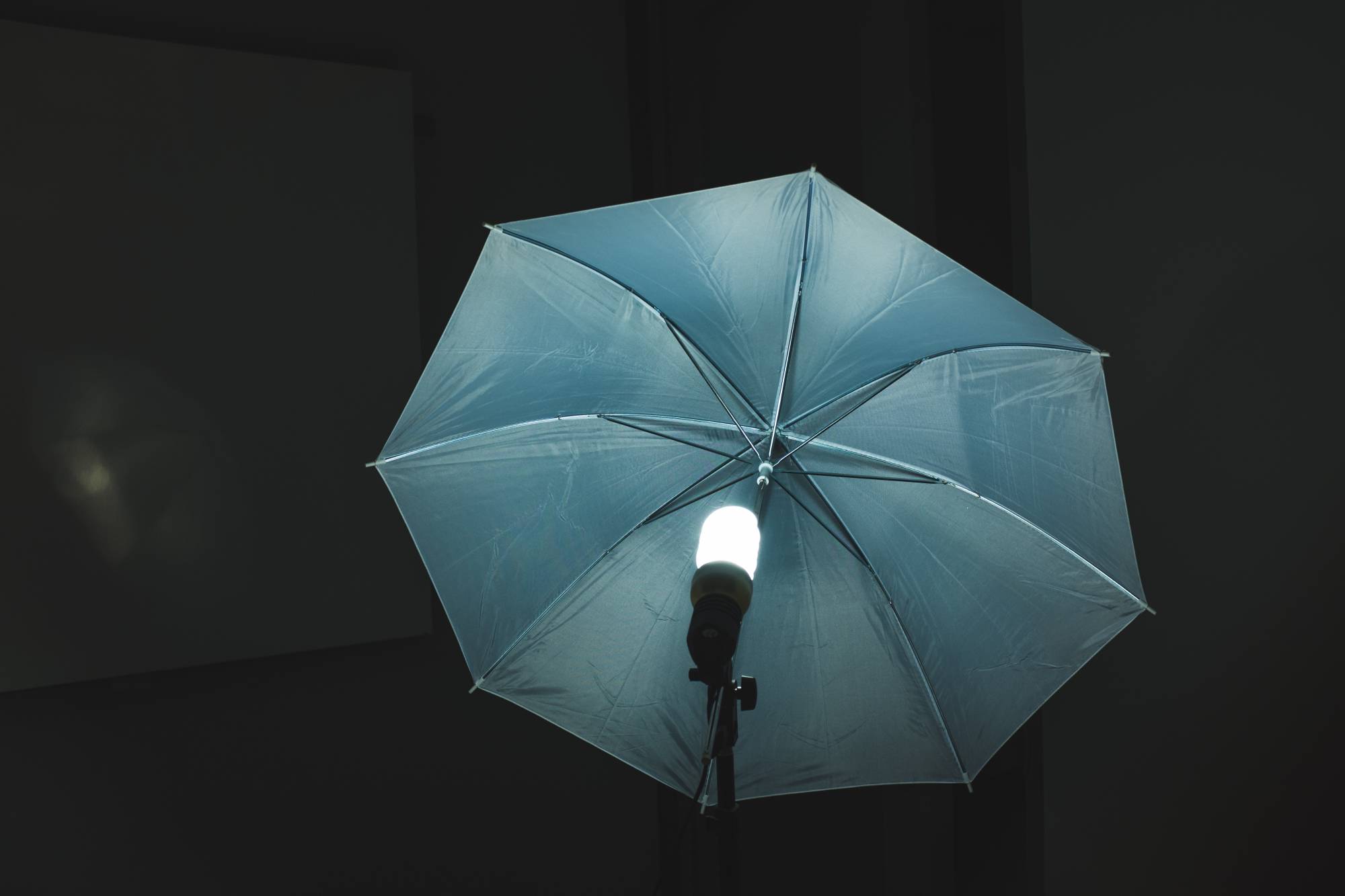 Света зонтик. Импульсный свет зонт. Зонт Light. Фотосессия с зонтом в студии. Зонт для студии.