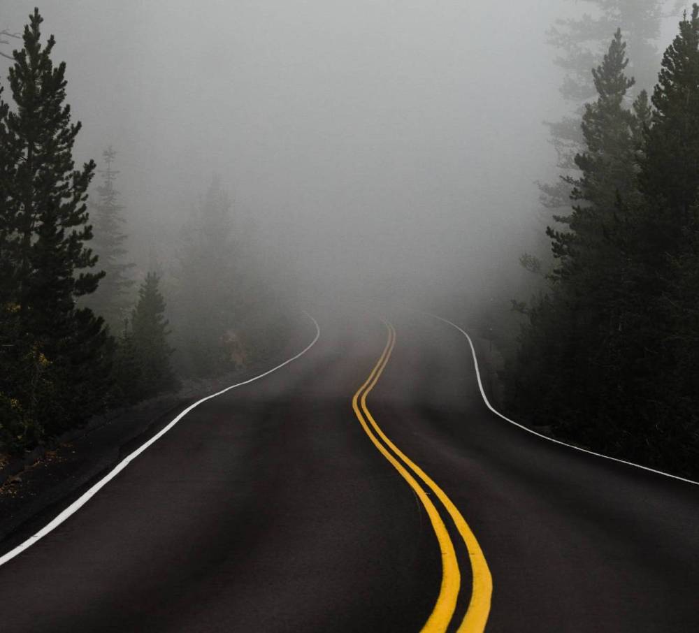 A mountain road leading into a foggy forest