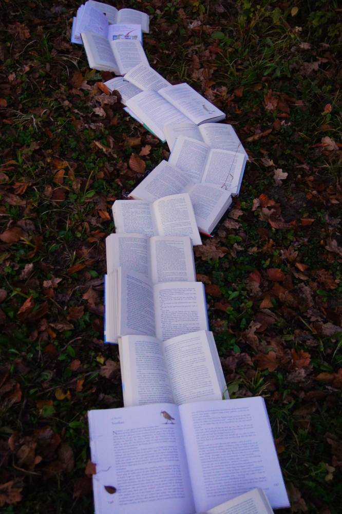 A winding line of open books on top of leaves