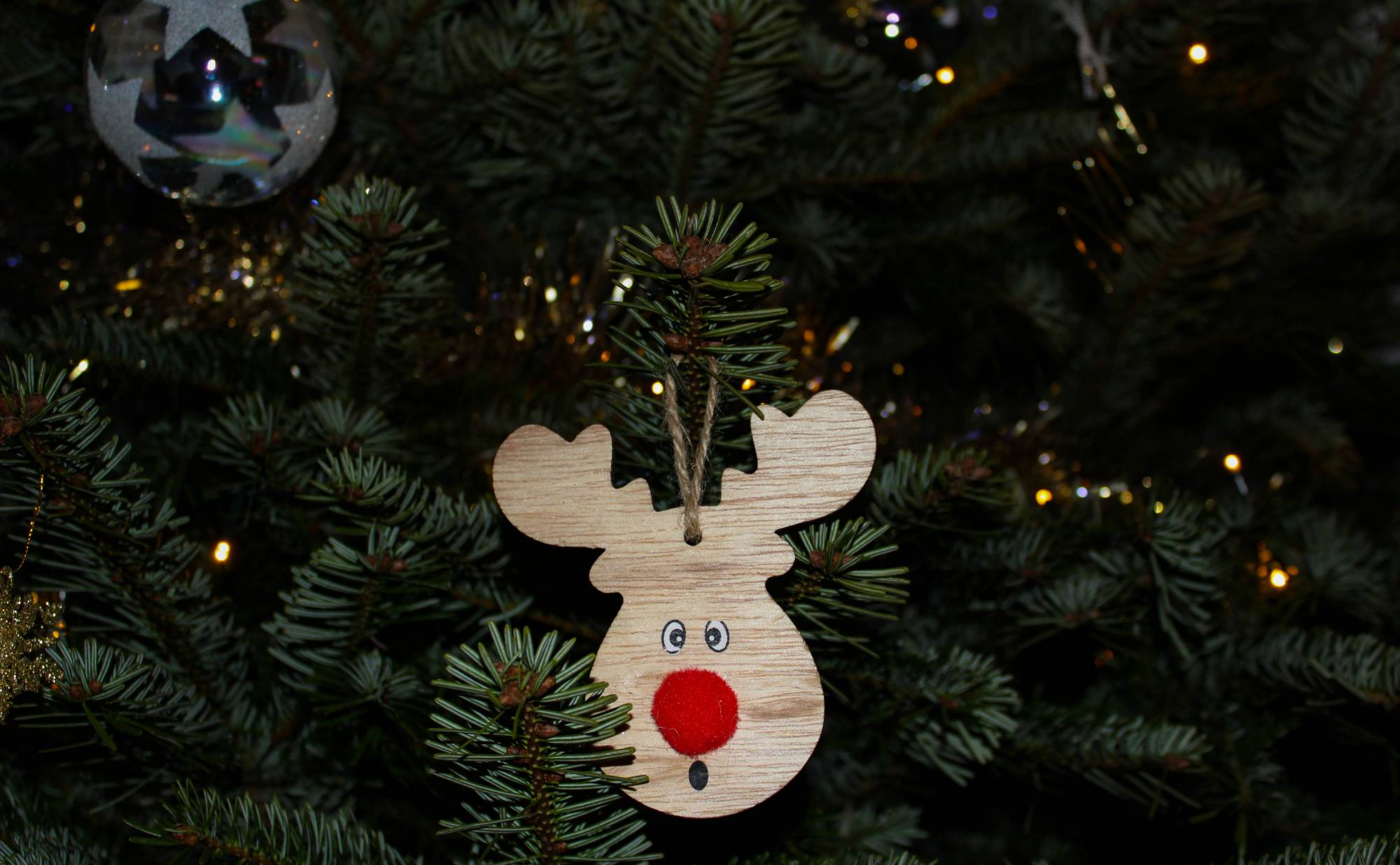Wood reindeer ornament