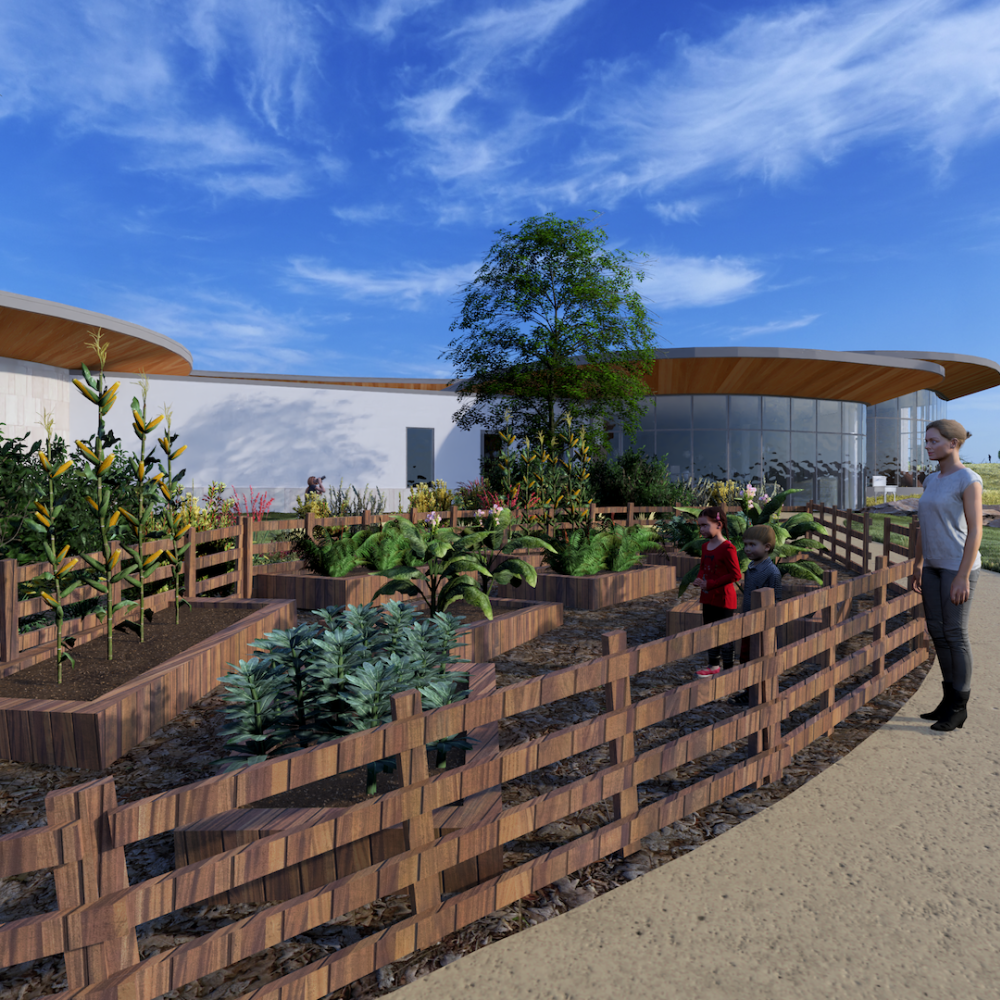 Design rendering of learning gardens and teen area of Anythink Nature Library