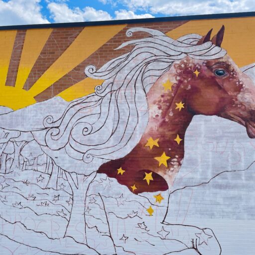 11_Englewood_Horse Close Up_Partially Completed with Doodle Grid