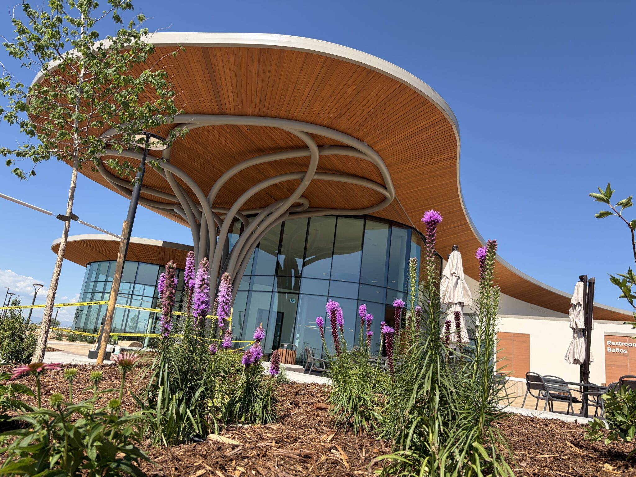 Where Colorado’s Landscapes Meet: Exploring the Nature Library Gardens